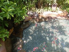 -厦门日月谷温泉渡假村