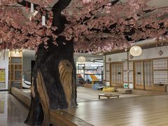 -上尚汤汤泉汗蒸(空港复悦里店)