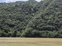 -芦茨金富饭庄·25年老字号·专做稻草鸡