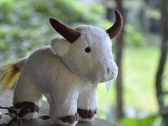 -四季酒店下午茶