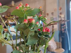 -251#coffee roasters(沿河东路店)