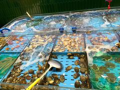 -双合园·海鲜水饺青岛菜(九水东路店)