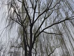 -天津市动物园