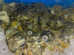 -四海蒸鲜蒸汽海鲜自助(北戴河店)