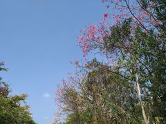 -福州大学(旗山校区)