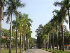 -厦门大学(思明校区)