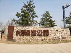 -东郊湿地公园
