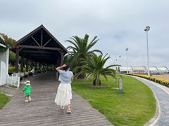 -碧海金沙