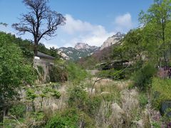 -无染寺