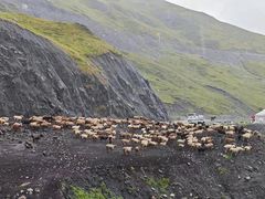 -新疆那拉提国家旅游度假区