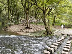 -楠溪江石桅岩