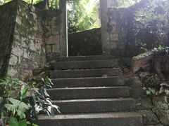 -青芝山风景名胜区