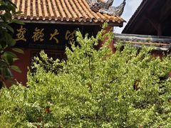 -金堂县云顶石城风景区