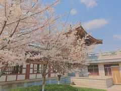-西安青龙寺遗址景区