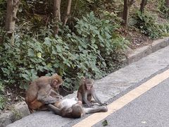 -黔灵山公园