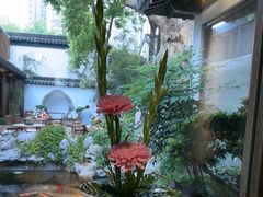 -鲤院·新中式美学·庭院餐厅(夫子庙店)