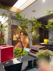 -大树儿童摄影