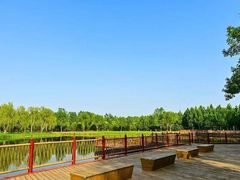 -东郊湿地公园
