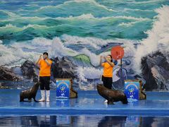 -多彩贵州城极地海洋世界