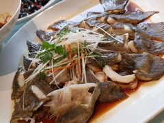 清蒸多宝鱼-张福记(五一公园店)