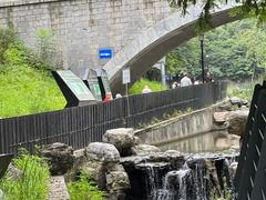 -白水寺森林公园