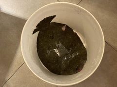 -海九澎湖海鲜餐厅