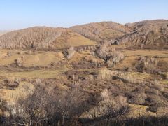 -塞罕坝国家级自然保护区