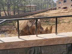 -大连森林动物园