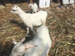 -乡乐园蟹庄·阳澄湖农家乐