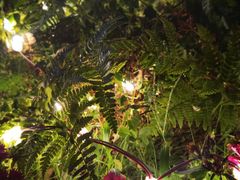 -不倒翁·徽天下名菜楼(马鞍山路店)