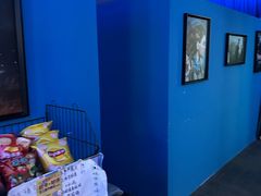 -浣熊部落ps4 ps5 switch 电玩(茶店子店)