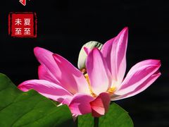 -陶然亭公园