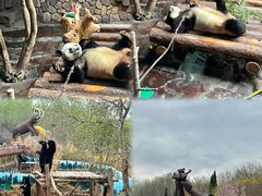 -济南野生动物世界