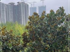 -西南交通大学(九里校区)