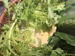 -晓宇重庆火锅(西安荟聚店)