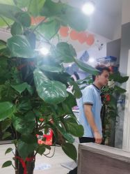 -时尚码头