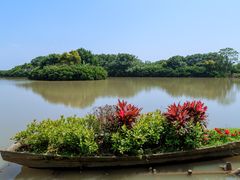 -大湾区中央湿地公园