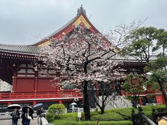 -浅草寺