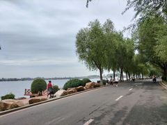 -丁香湖公园
