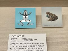 -大阪历史博物馆