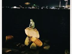 -美人鱼