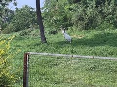 -沈阳森林动物园