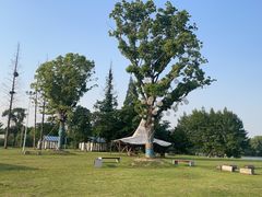 -西山漾湿地公园