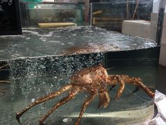 -宴周康·精致江浙菜(周浦店)