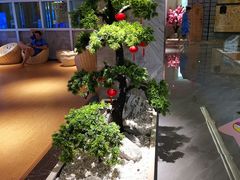 -水立方国际汤泉(六一中路店)