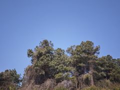-缥缈峰景区
