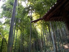 -会稽山峡洞漂流-上青古道