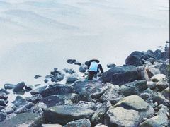 -野狸岛