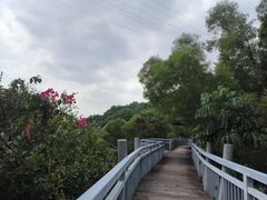 -仙岳公园