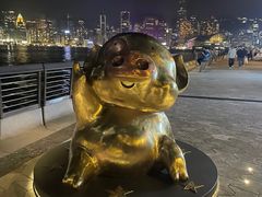 -星光大道